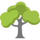 Yorba Linda Tree Removal