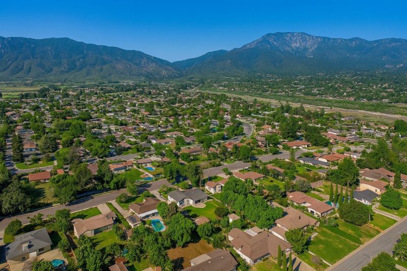 Apple Tree Removal in Upland, CA