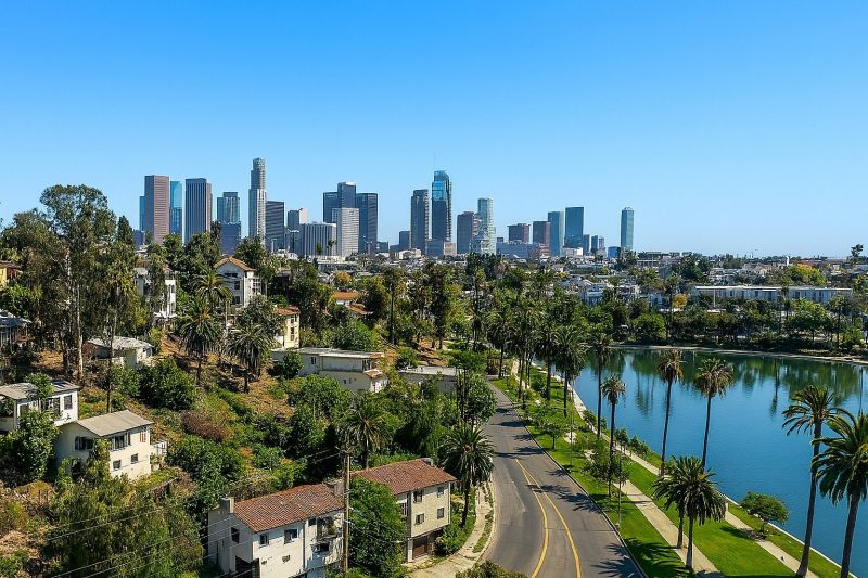 Apple Tree Removal in Los Angeles County, CA