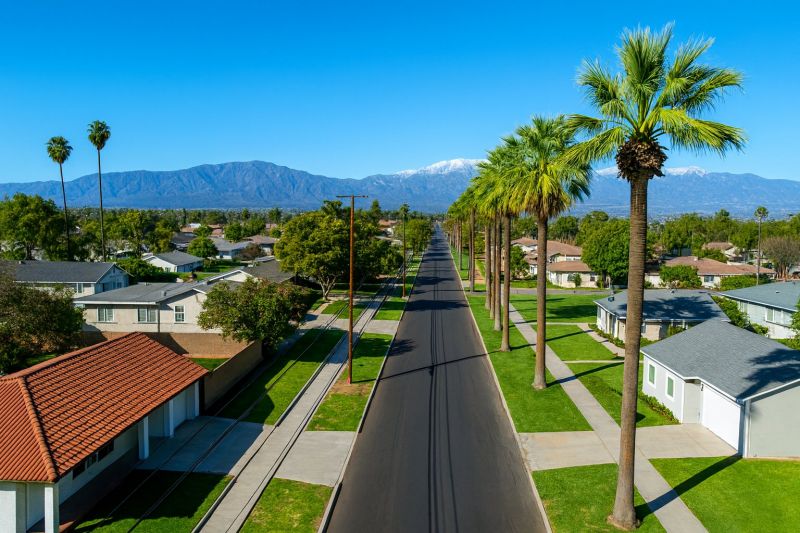 Tree Removal Service in Ontario, CA