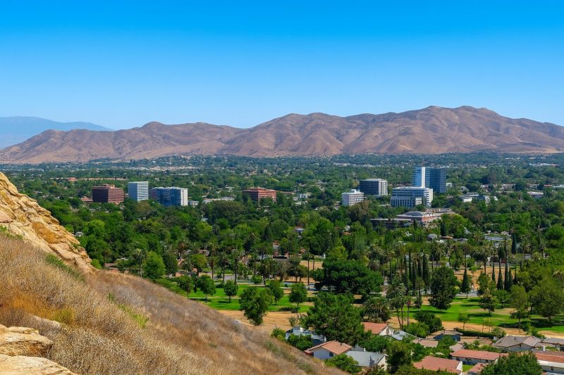 Tree Removal Service in Corona, CA