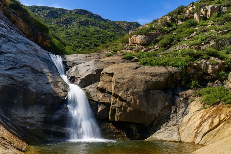 Tree Removal Service in Trabuco Canyon, CA