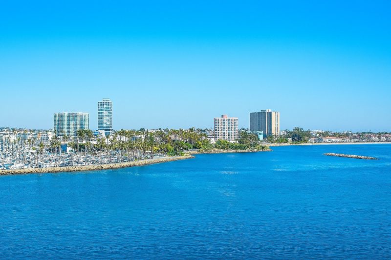 Tree Removal Service in Long Beach, CA