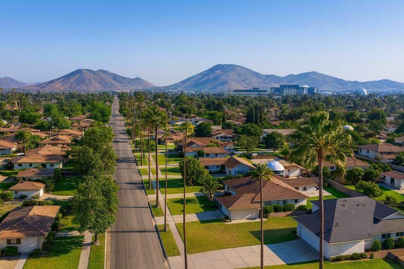 Tree Removal Service in Fontana, CA