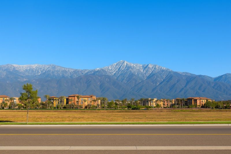 Tree Removal Service in Rancho Cucamonga, CA