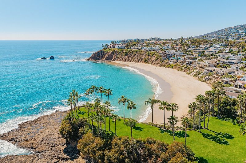 Tree Removal Service in Aliso Viejo, CA