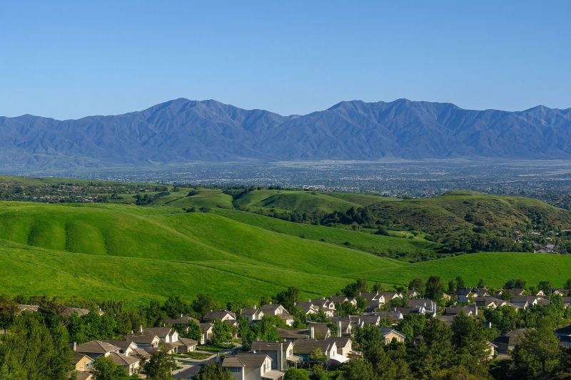 Tree Removal Service in Chino Hills, CA
