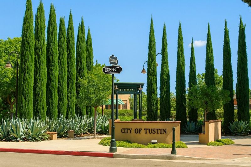 Tree Removal Service in Tustin, CA