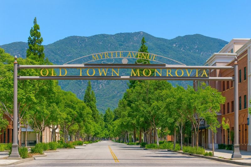 Tree Removal Service in Monrovia, CA
