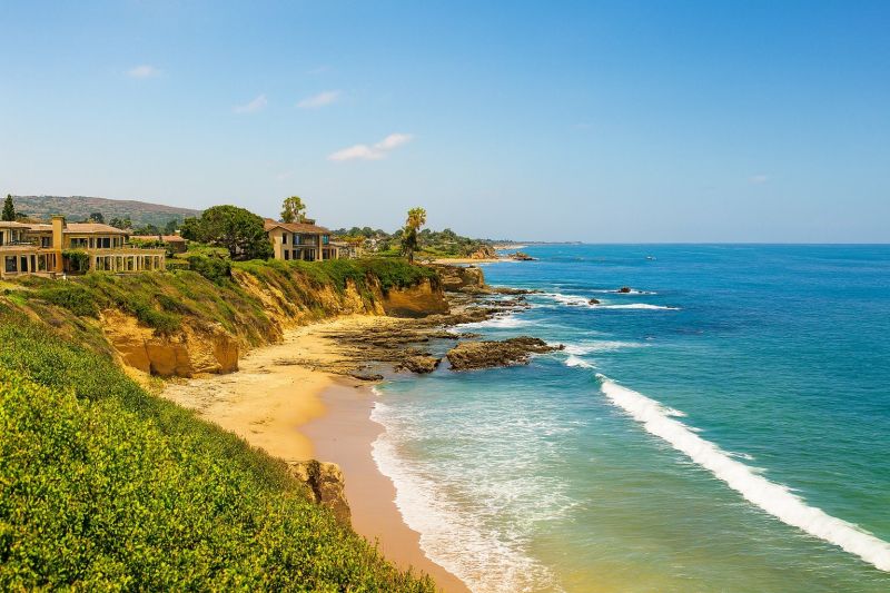 Tree Removal Service in Newport Beach, CA