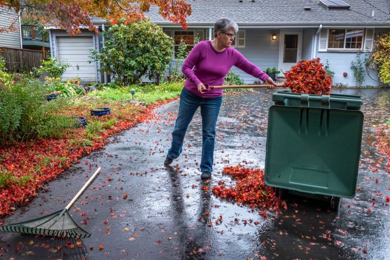 Clean Yard