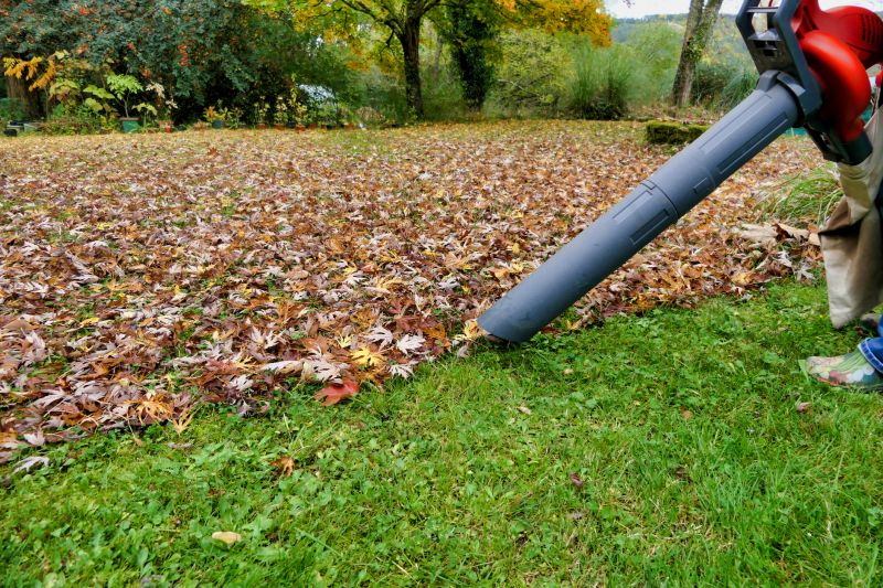 Healthy Lawn