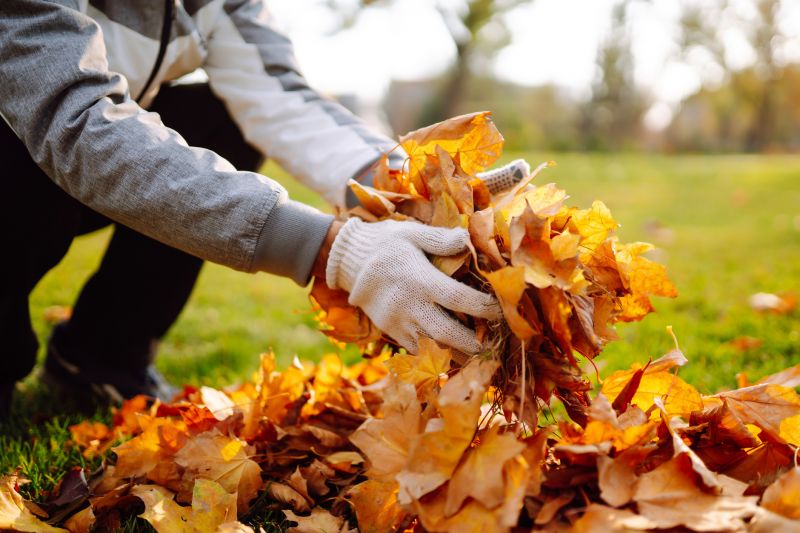 Autumn Leaf Cover