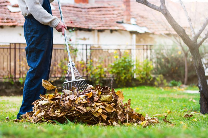 Cleaned Yard