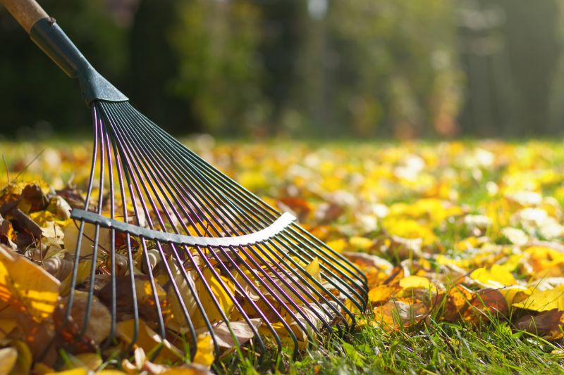 Leaf Collection Equipment