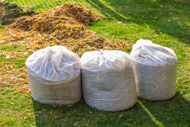 Outdoor Fall Cleanup