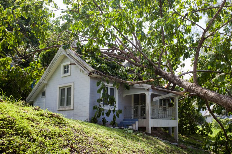 Emergency Tree Removal detail