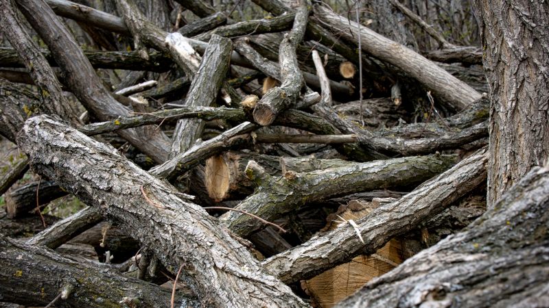 Debris Cleanup