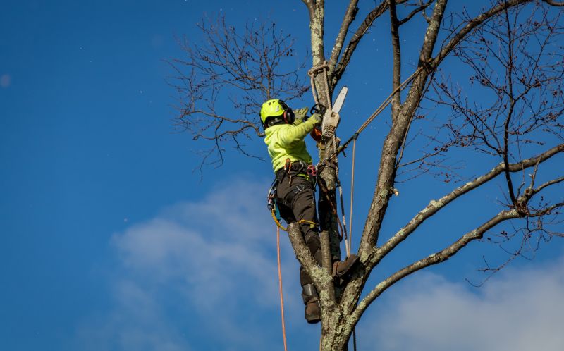 Pre-Removal Site Assessment