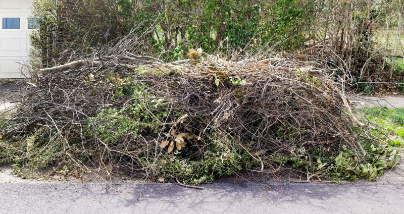 Efficient Debris Removal