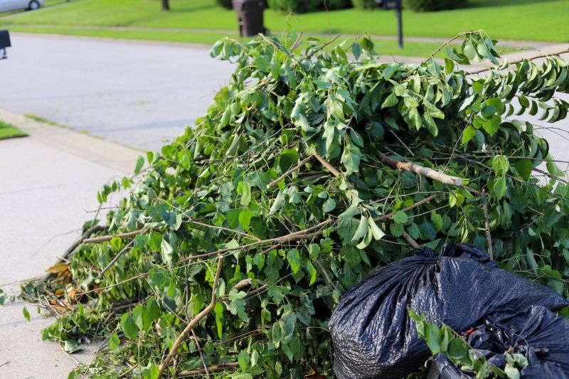 Proper Disposal of Waste