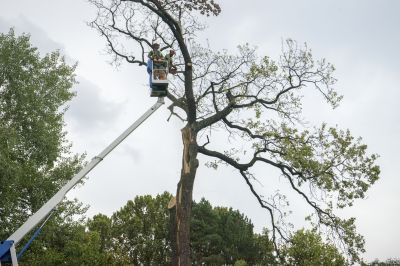 Post-Removal Inspection