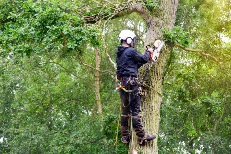 Proper Equipment and Safety Gear